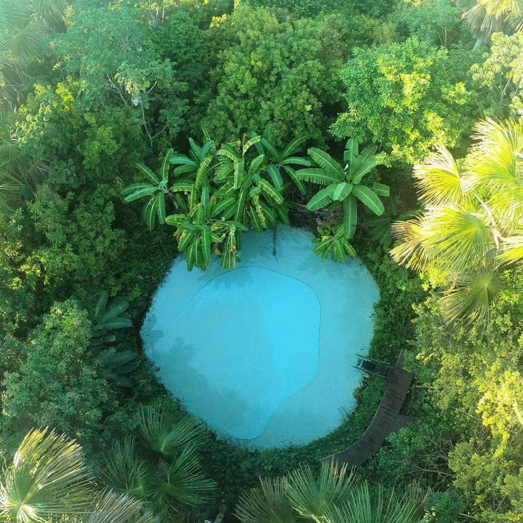 fervedoru bela vista 2