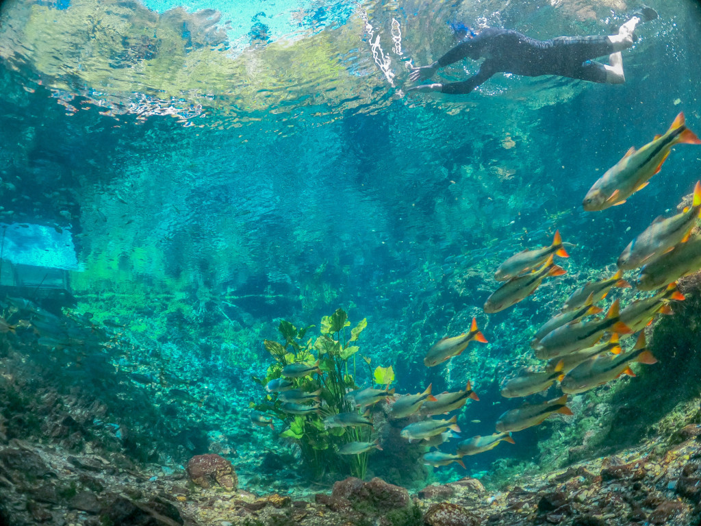 flutuacao-nascente-azul-bonito