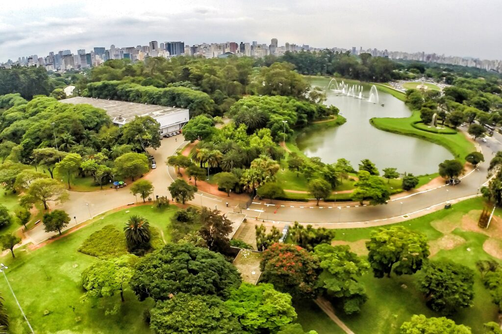 21-01-2015 - São Paulo - Parque do Ibirapuera. Foto: Rafael Neddermeyer/ Fotos Públicas