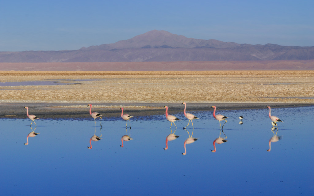 Lagunas-Altiplânicas-de-São-Pedro-de-Atacama-3-1024x640